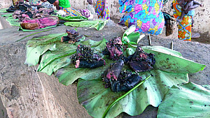 Smoked bonobo meat (Pan paniscus) at a market in Kindu in the Democratic Republic of the Congo. Photo: J. Head