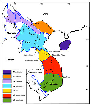 Verbreitungsgebiet der sieben Schopfgibbon-Arten, Karte: Christian Roos, DPZ