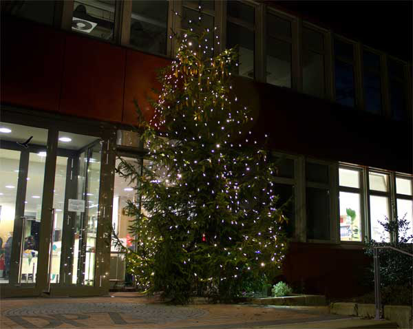 Der DPZ-Weihnachtsbaum 2011
