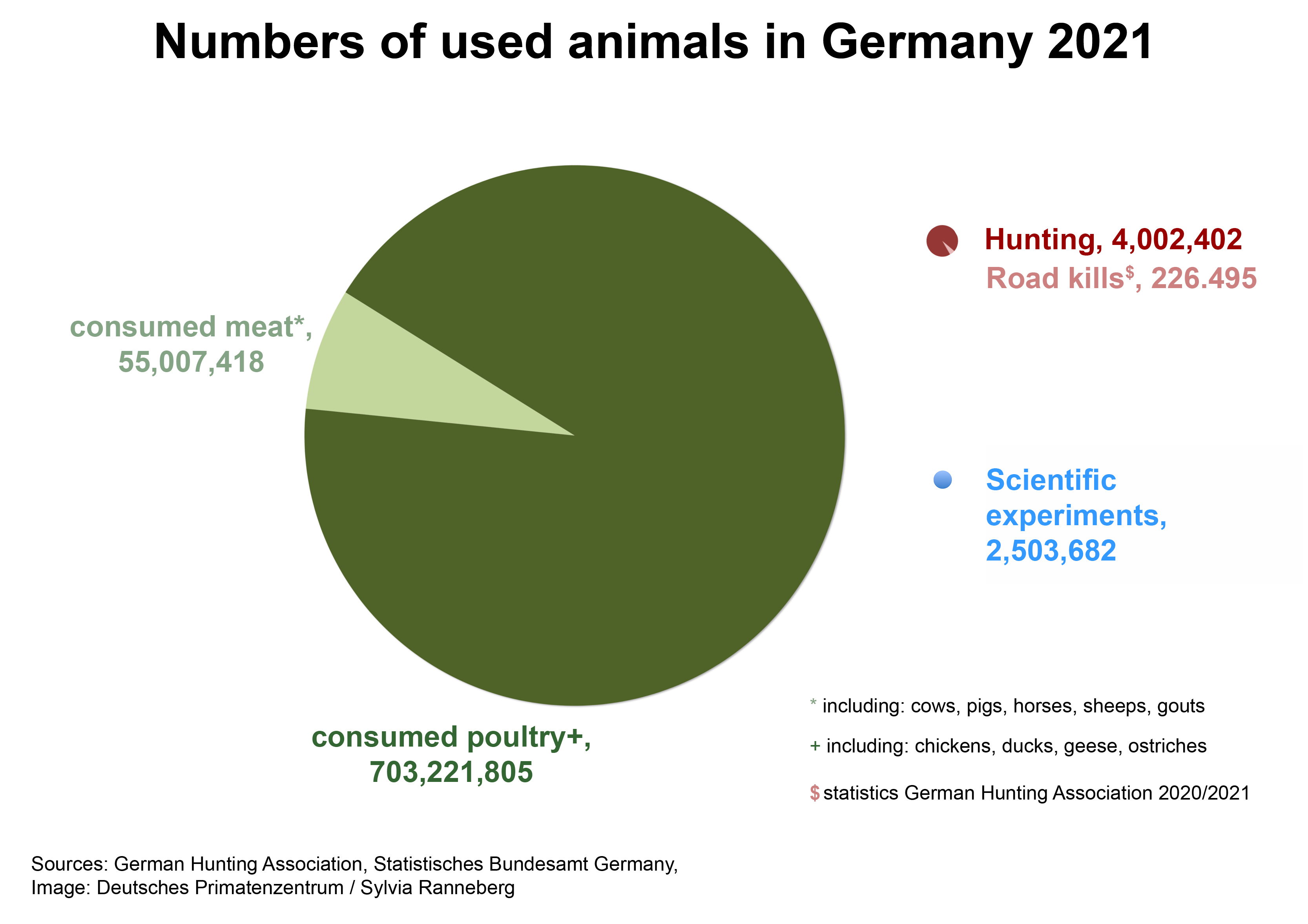 Deutsches Primatenzentrum: Numbers of experimental animals in Germany